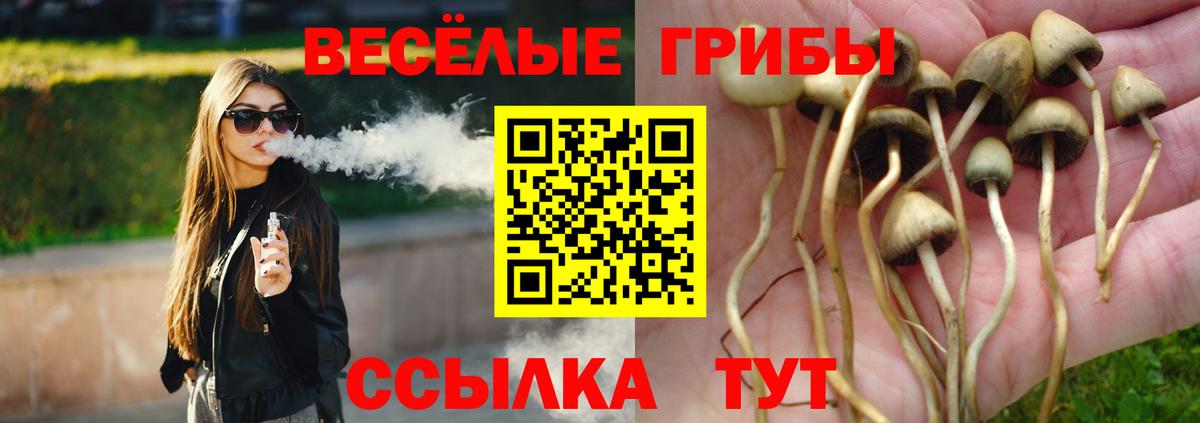 Галлюциногенные грибы GOLDEN TEACHER Санкт-Петербург