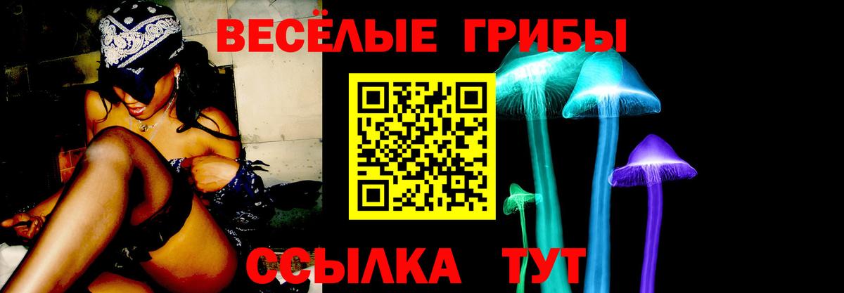 Псилоцибиновые грибы ЛСД  Вход с VPN  Галлюциногенные грибы мицелий  Санкт-Петербург 
